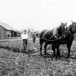 Zemes aršana Ārlavas pagastā ap 1926. g.