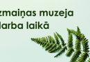Izmaiņas muzeja darba laikā